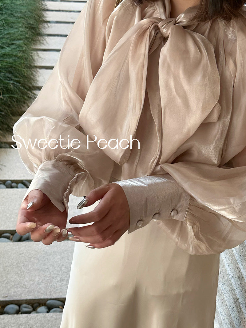 Korean Organza blouse