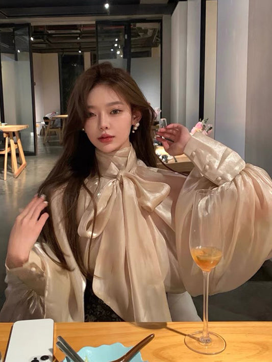 Korean Organza blouse