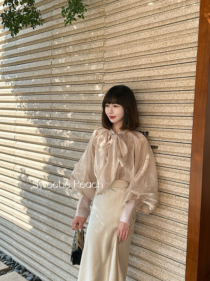 Korean Organza blouse