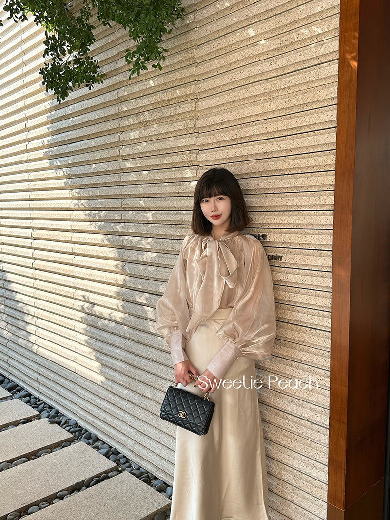 Korean Satin Dress